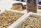 Giá cà phê hôm nay 29-10: Robusta phục hồi nhẹ, Arabica tiếp tục giảm