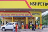 Khi “cứu tinh” hóa cú lừa triệu USD: NSH Petro mất trắng và chìm trong nợ