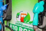 Sau hơn 3 tháng bán thí điểm, xăng E10 được tiêu thụ thế nào?