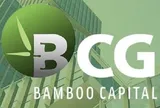 Bamboo Capital sẽ tổ chức đại hội cổ đông bất thường, dự kiến miễn nhiệm hàng loạt lãnh đạo