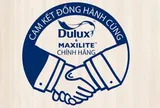 AkzoNobel đẩy mạnh giải pháp chống sơn giả Dulux Maxilite trên thị trường Việt Nam hiện nay