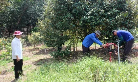 Ông nông dân trồng "loài cây quen thuộc" thu lãi nhẹ nhàng 2 tỷ đồng/năm