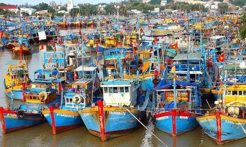 EC chưa chốt ngày đến Việt Nam thanh tra, xem xét gỡ "thẻ vàng" IUU