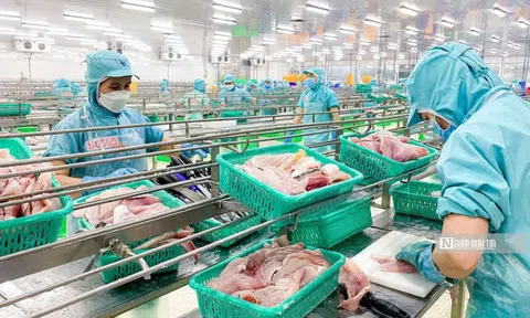 Ngành nông nghiệp xuất siêu trên 68% trong 8 tháng đầu năm