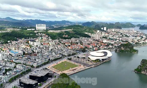 Hàng trăm hồ sơ giao dịch nhà đất ở TP Hạ Long bị ‘tắc’