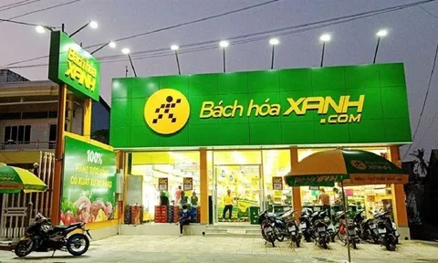 Bách Hoá Xanh lên tiếng về việc đã mua giá đỗ ngâm hoá chất ở Đắk Lắk