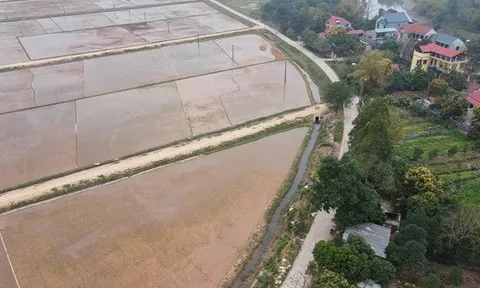 Mới nhất về xử phạt hành vi tự ý "biến" đất trồng lúa thành đất ở, người dân sẽ bị phạt tới 400 triệu đồng