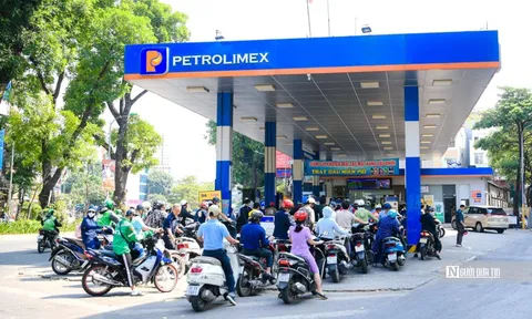 Biến động giá xăng dầu, Petrolimex báo lãi quý I/2025 giảm sâu hơn 80%