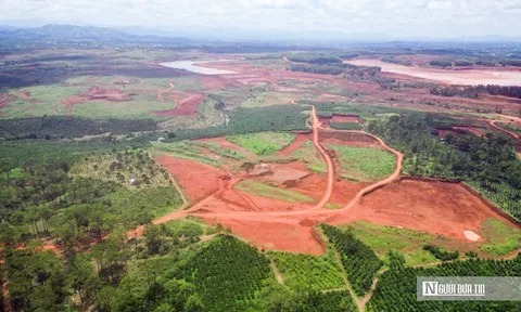 Lâm Đồng: Chấm dứt hoạt động dự án, thu hồi hơn 145ha đất rừng