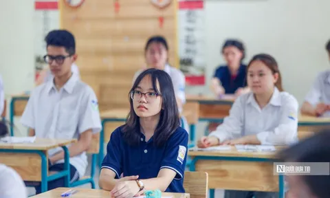 Chọn ngành Ngôn ngữ: Thành thạo ngoại ngữ chỉ là bước khởi đầu