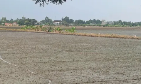 Chủ động điều chỉnh quy định về đất đai khi sáp nhập tỉnh, thành
