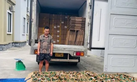 Thu giữ 5,3 tấn chân gà rút xương không rõ nguồn gốc tại Tuyên Quang