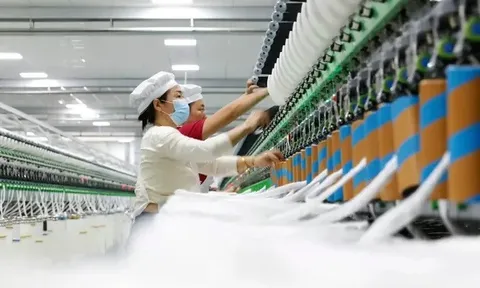 Muôn hình vạn trạng phản ứng của doanh nghiệp Việt trước chính sách thuế quan Mỹ