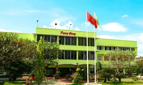 Xuất hiện 1 công ty mới tinh có logo giống biểu tượng ngành nhựa 65 năm tuổi, loạt công ty liên quan Rạng Đông đổi CEO trước "thảm họa" ĐHCĐ