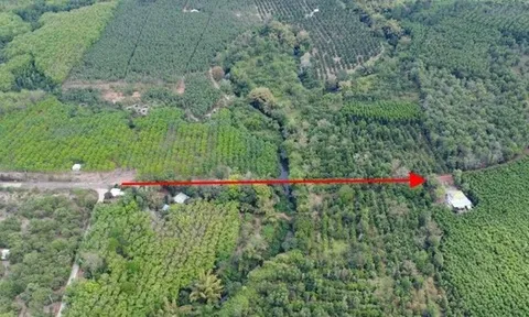 Nghiên cứu, rà soát kỹ phương án đầu tư đường kết nối Bình Phước - Đồng Nai qua cầu Mã Đà