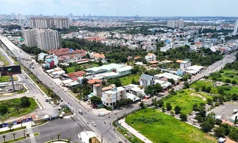 1 dự án nhà ở tại TP HCM chuyển mục đích đất trồng lúa gần 9 ha