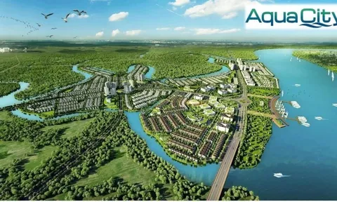 Novaland bán cổ phần tại 2 "con cưng" Aqua City và Thạnh Mỹ Lợi B lấy 2.600 tỷ trong quý 1/2025
