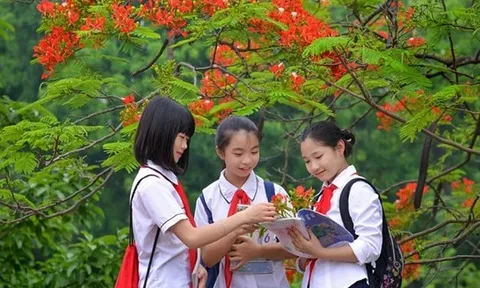Thủ tướng chỉ đạo 3 vấn đề nóng trong giáo dục