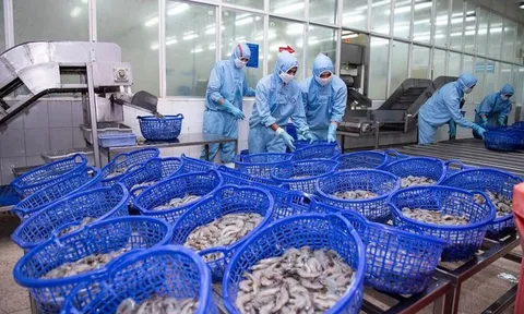 Ngành thủy sản quý I/2025: Sóng phục hồi đã nổi