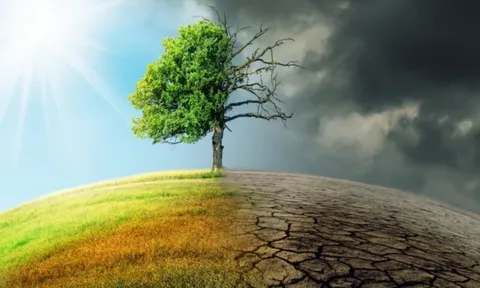 Loạt định chế tài chính rút khỏi cam kết Net Zero: Doanh nghiệp Việt nhìn gì từ động thái của thế giới?