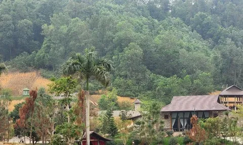 Chủ tịch Hà Nội yêu cầu khẩn trương xử lý vụ lấn chiếm đất rừng xây khu nghỉ dưỡng tại Thạch Thất