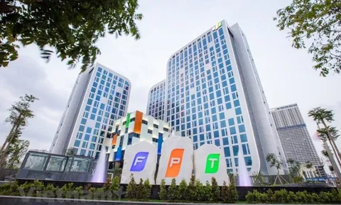 Công ty họ FPT sắp trả cổ tức tiền mặt tỷ lệ 100%