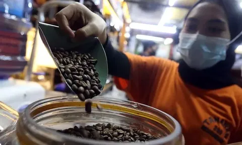 Quốc gia đông dân thứ 4 thế giới nuôi tham vọng vượt mặt Việt Nam ở một 'mỏ vàng' tỷ USD, sản lượng 700.000 tấn mỗi năm có đủ sức?