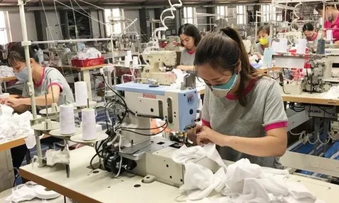 May Sông Hồng sắp phát hành 37,5 triệu cổ phiếu thưởng cho cổ đông