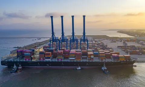 Viconship tiếp tục gom thêm hơn 1 triệu cổ phiếu Vận tải và Xếp dỡ Hải An (HAH)