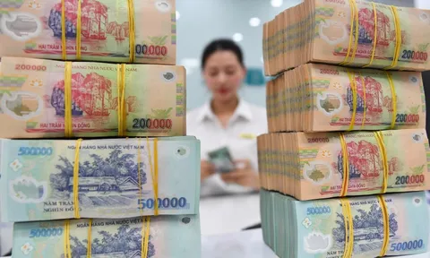Doanh nghiệp bất động sản đồng loạt chia cổ tức dù lợi nhuận trái chiều