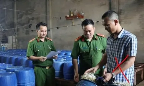 Khởi tố chủ cơ sở bán 60 tấn giá đỗ dùng chất kích thích tăng trưởng