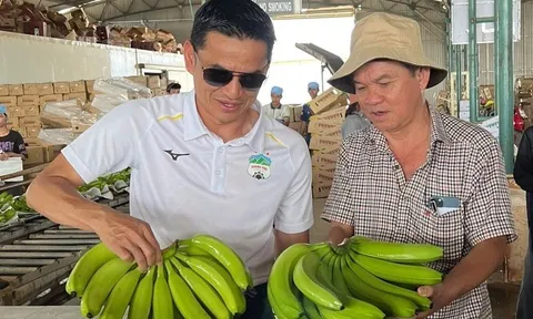 HAGL tổ chức họp ĐHĐCĐ sớm hơn dự kiến
