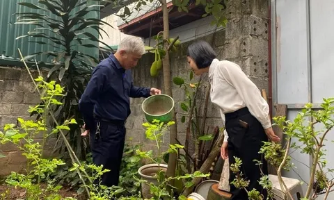Sốt xuất huyết có dấu hiệu gia tăng tại Hà Nội