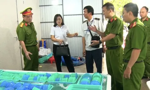Khánh Hòa tiêu hủy gần 850.000 con tôm hùm
