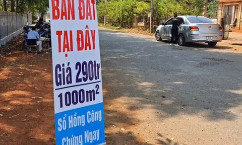 “Cơn sốt” đất nền đổ bộ Hải Phòng, Hưng Yên: Chuyện gì đang xảy ra?