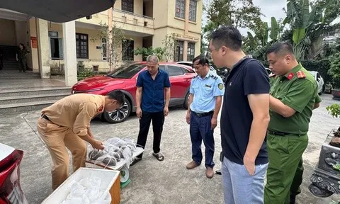Nóng tại Quảng Ninh: Phát hiện một hộ kinh doanh có hơn 2.000 kg thực phẩm không rõ nguồn gốc, hộ khác có 5,6 triệu con ngao hoa giống không rõ xuất xứ