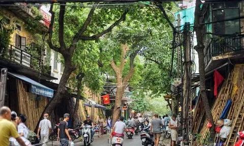 Một công ty bị thu hồi 2 cơ sở nhà, đất nằm trên khu đất "vàng" phố cổ Hà Nội