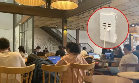 Thông tin mới về việc The Coffee House bịt ổ điện, bị cho là "đuổi khéo" khách gây xôn xao: Đại diện quán nói gì?
