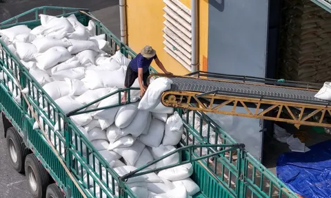 Doanh nghiệp ngành gạo ngụp lặn trong thua lỗ quý I/2025