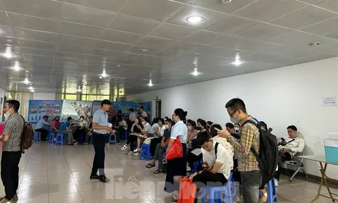 Mua nhà ở xã hội: Từ khổ ải đợi chờ đến kiếp nạn 'cò mồi'