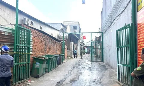 Công an vào cuộc vụ gần 50 căn nhà liền kề xây trên đất nông nghiệp ở Bình Dương