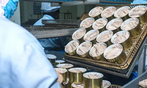 Giá siêu thực phẩm 'ngon bổ rẻ' của Việt Nam bất ngờ chạm đáy 2 năm - Đơn hàng từ Mỹ và EU đều chững lại