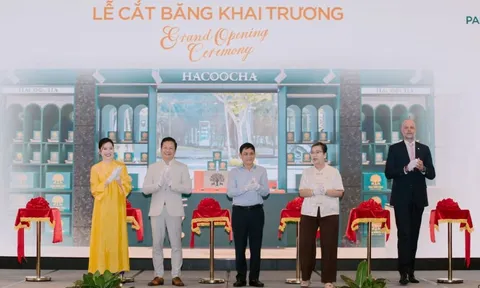 Trà Hà Giang – Từ đỉnh núi cao đến tầm cao thế giới