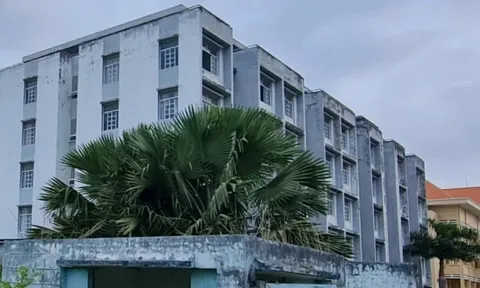 Bạc Liêu: Sẽ chuyển đổi công năng 2 tòa nhà sinh viên thành nhà ở xã hội