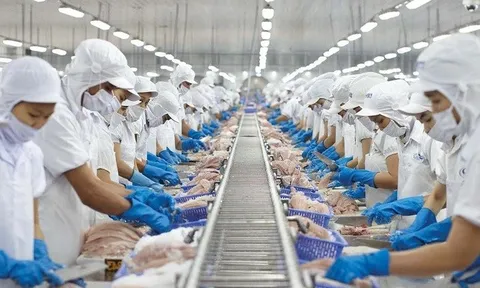 Vĩnh Hoàn tháng 4/2025: Xuất khẩu sa sút, doanh thu đi lùi