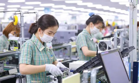Dấu chấm cho chuỗi ngày ảm đạm: Lần đầu tiên trong năm, thị trường đón nhiều doanh nghiệp mới hơn số rời đi