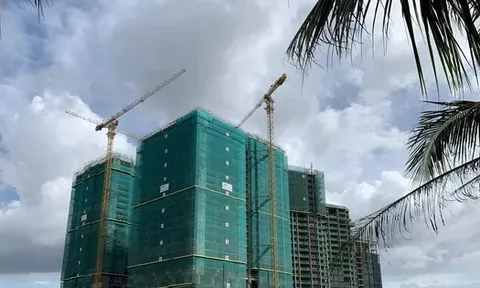 Giá chung cư ngang ngửa giá liền kề, biệt thự