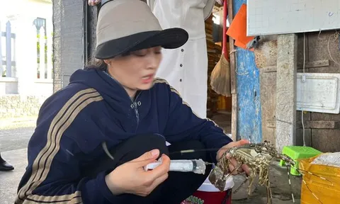 "Hô biến" tôm hùm chết thành tôm tươi lừa người tiêu dùng