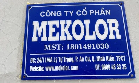 Công ty trong liên minh đề xuất làm dự án đường sắt tốc độ cao lãi hơn 1,3 triệu đồng