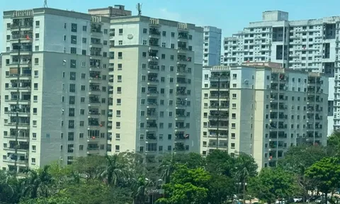 Trái chiều dự báo diễn biến giá chung cư Hà Nội